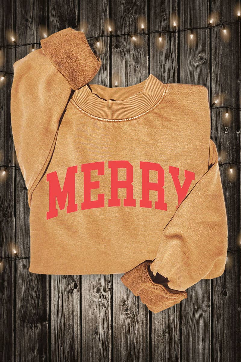 MERRY MINERAL GRAPHIC SWEATSHIRTS