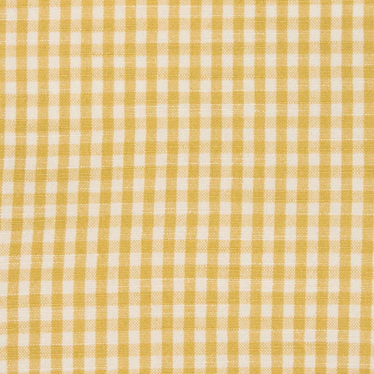 Hello Autumn Assorted Dishtowels- PDQ